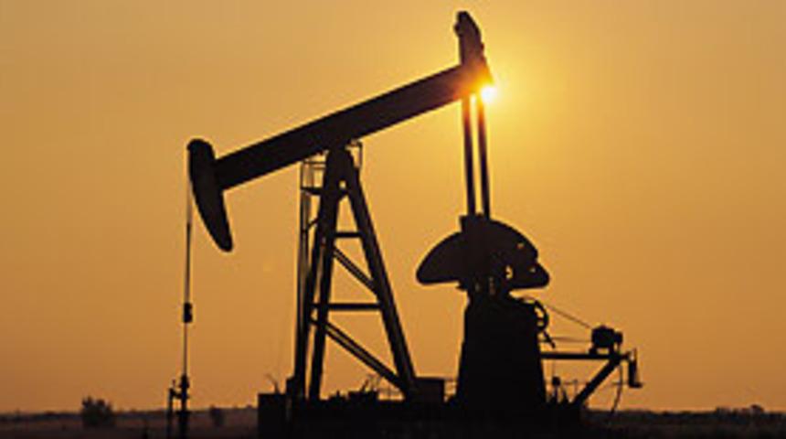 Uluslararası şirketlerle &ccedil;alışmak istiyorlar