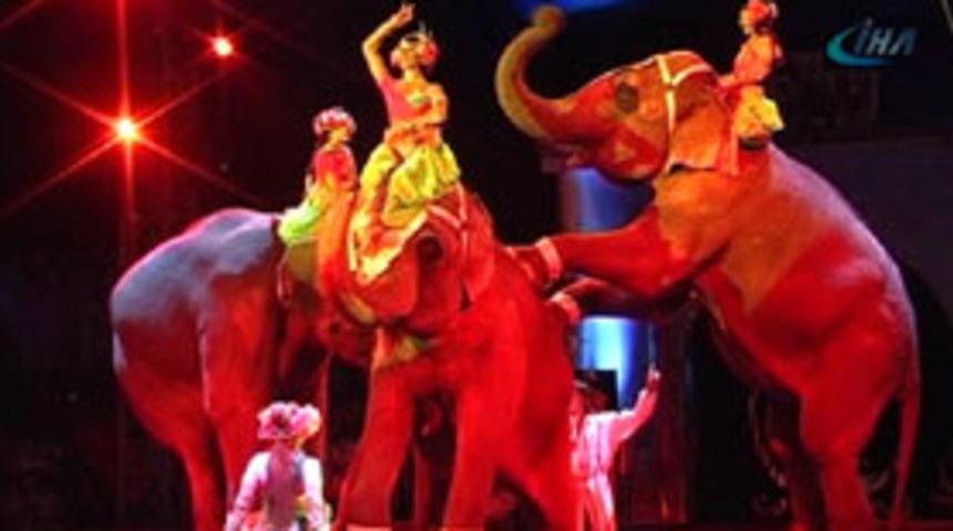 D&uuml;nya Sirkinin Altınları'ndan inanılmaz g&ouml;steri