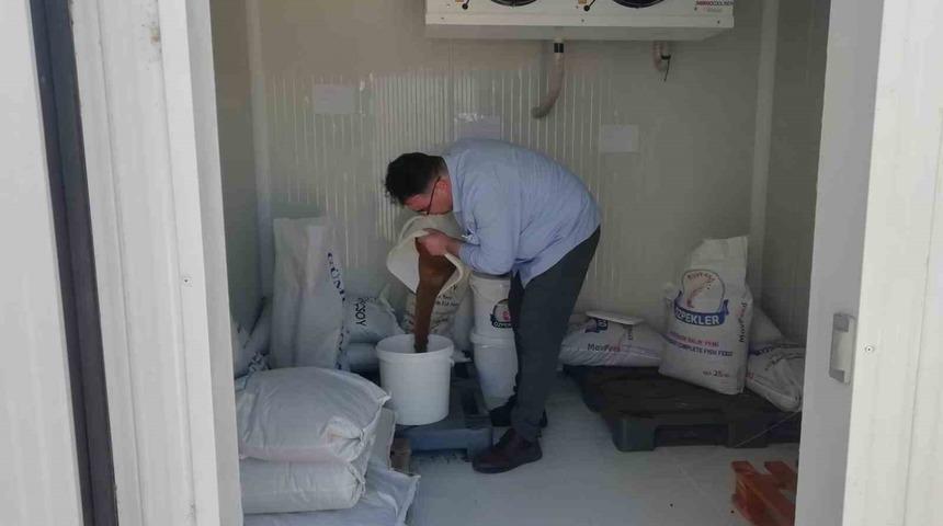 Elazığ’da üretilen milyonlarca balık göl ve barajlara salınıyor