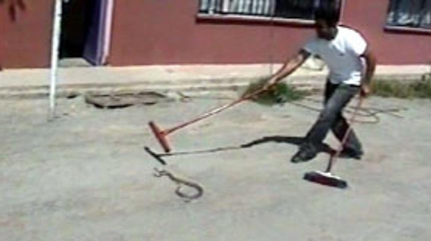 Trafo'daki yılan karanlıkta bırakacaktı