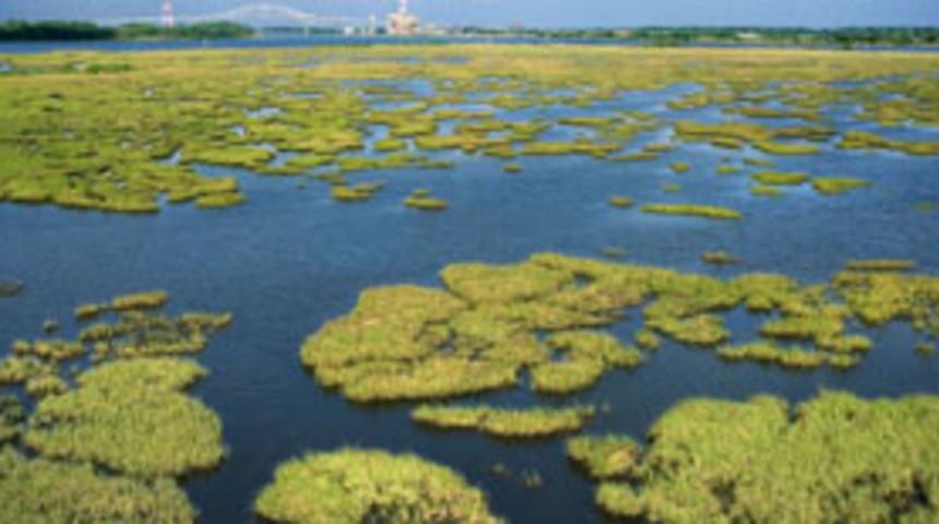 Metan gazı, iklim ısısını etkiliyor