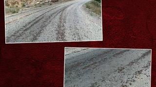 Kara yolunda, sürü halinde! Böyle görüntülendiler... Köylüler endişeli