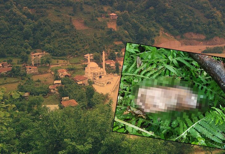 Kopmuş ayak bir ilçeyi alarma geçirdi! Ön otopside 'mezarlık' detayı... 1 aileden DNA başvurusu