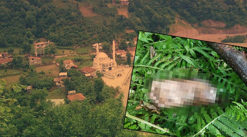 Kopmuş ayak bir ilçeyi alarma geçirdi! Ön otopside 'mezarlık' detayı... 1 aileden DNA başvurusu