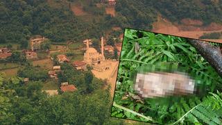 Kopmuş ayak bir ilçeyi alarma geçirdi! Ön otopside 'mezarlık' detayı... 1 aileden DNA başvurusu