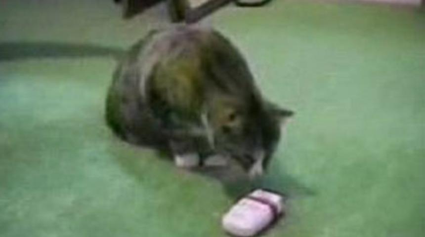 Arkanızı kollamakta fayda var!