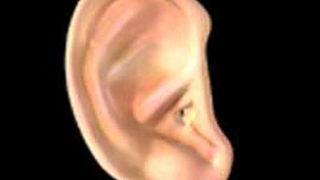 Yüksek nem kulaktan vuruyor