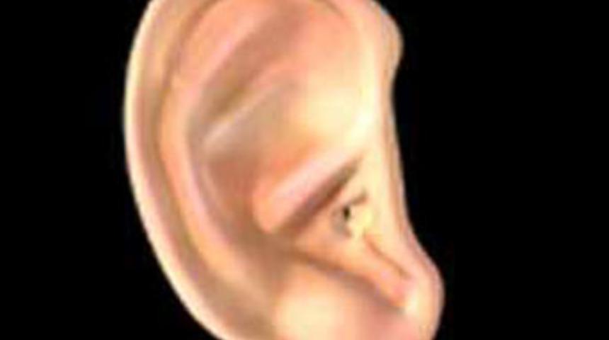 Yüksek nem kulaktan vuruyor