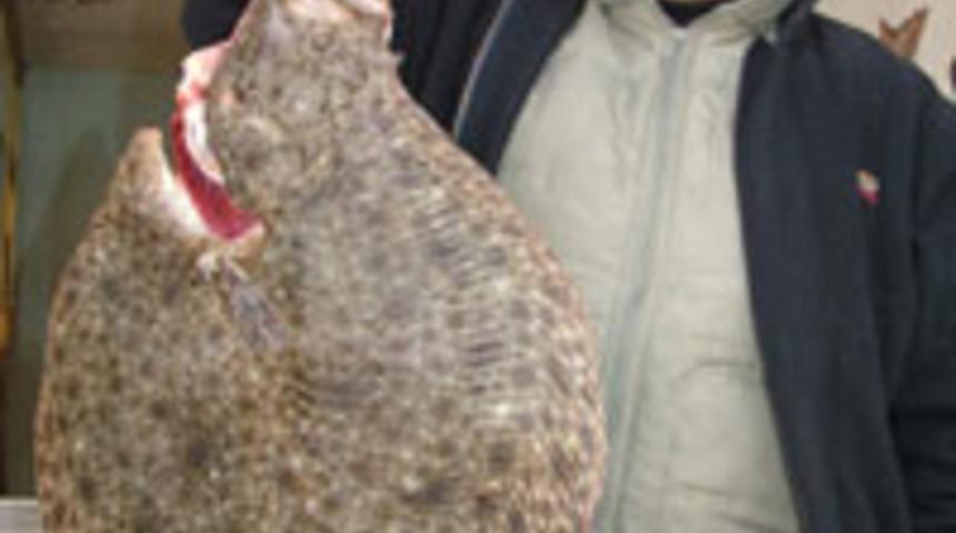 10 kiloluk kalkan balığı