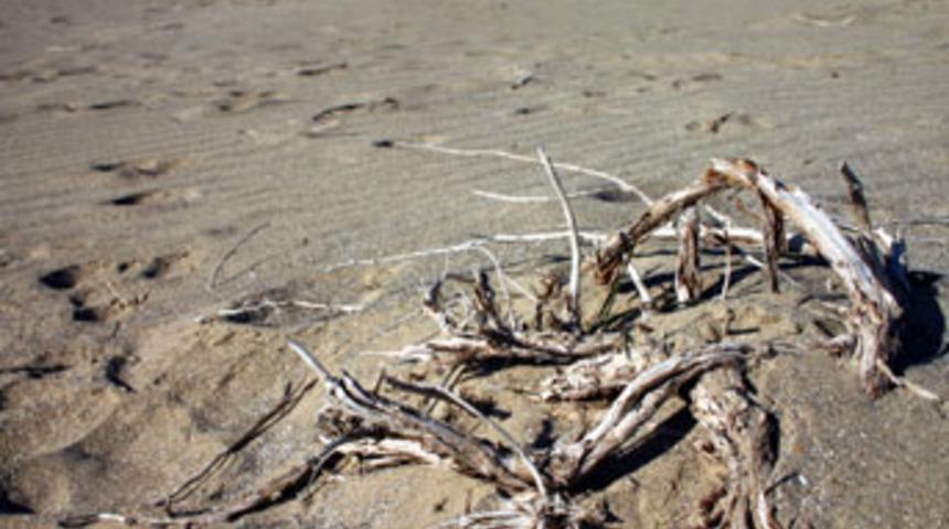 Kuraklık ve k&uuml;resel ısınma tehdit ediyor