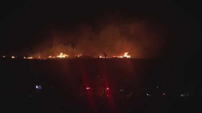 Çeşme'de orman yangını! Çok sayıda ekip bölgede