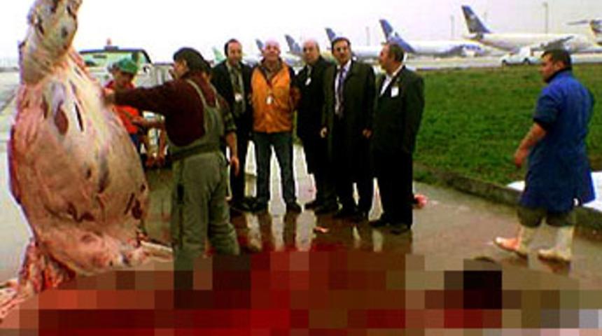 THY imajını d&uuml;zeltebilecek mi?