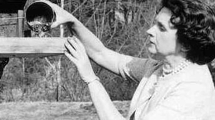 D&uuml;nyayı kurtarmaya &ccedil;alışan 100 &ccedil;evreci