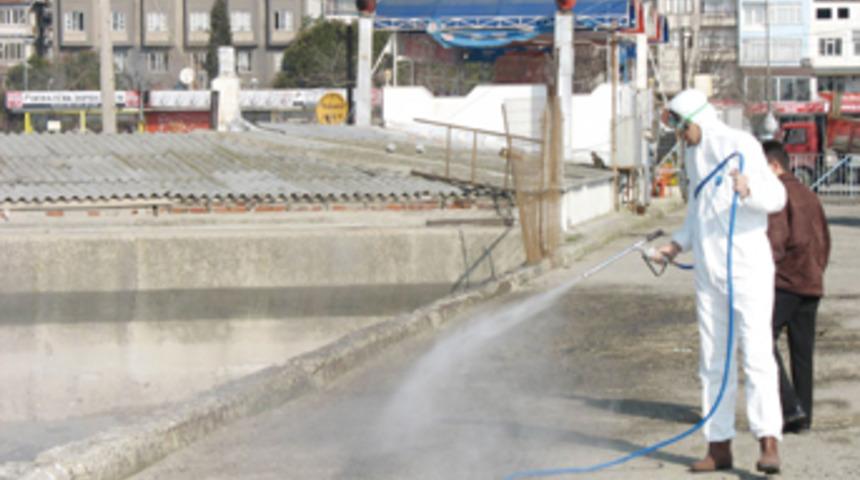 Mısır'da iki kişide kuş gribi tespit edildi