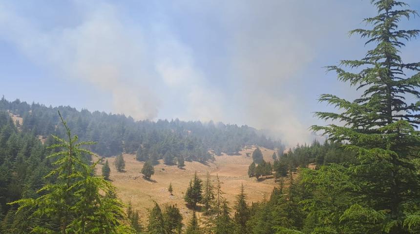 Adana'da orman yangını! Anız yakıldığı sırada...