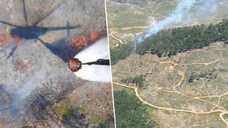 Son dakika... Muğla’da orman yangını