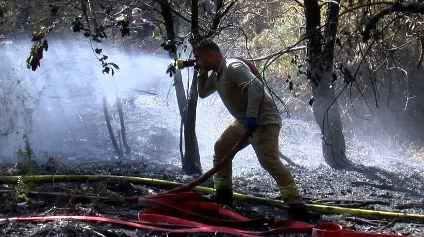 Eyüpsultan'daki askeri alanda orman yangını!