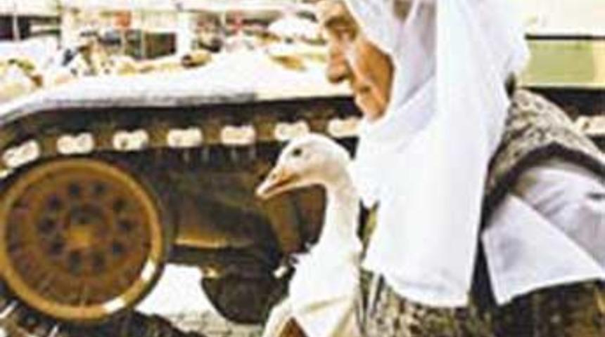 Bir oğlu asker, bir oğlu PKK'lı