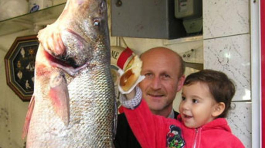 1 metrelik minakop balığı ilgi odağı oldu