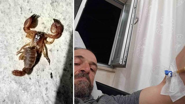 Ölü sandığı akrebi eline almak isteyince hayatının şokunu yaşadı! Tam 9 saat sonra...