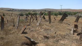 Üzerlerinde herhangi bir yazı ya da kitabe yok! Merak uyandırıyor, onları andırıyor: En büyük özelliği...