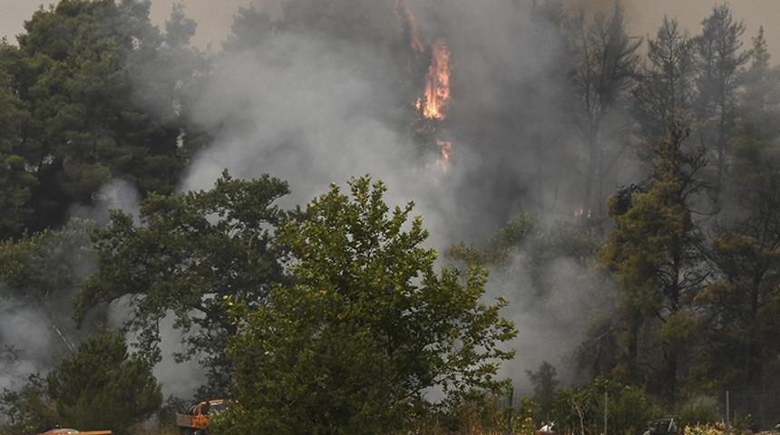 Yunanistan'ın Korfu Adası'nda orman yangını çıktı!
