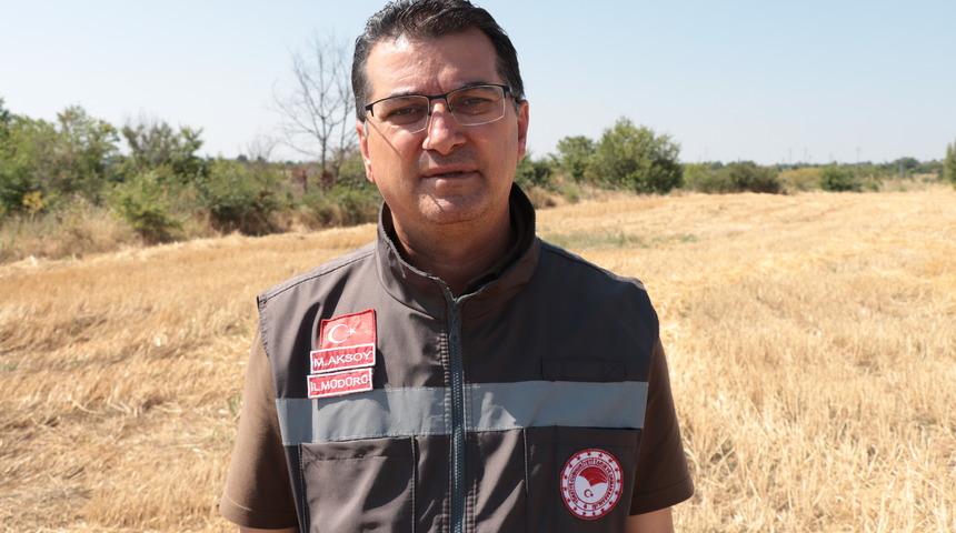 Kırklareli'nde bahar yağmurlarıyla rekoltesi artan buğday üreticisini sevindirdi