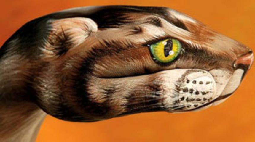 Yaratıcılık sınır tanımıyor