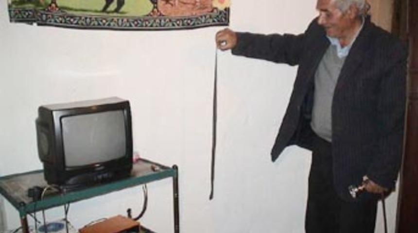 Yılanlar y&uuml;z&uuml;nden evlerini terkettiler