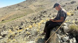 Yaylada çobanlık yapan Muhammet LGS’de Türkiye ikincisi oldu 'Elinde kitapla dolaştığını fark ettim...' Kazandığı lise belli oldu