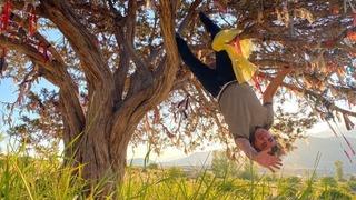 Dekan'dan yangınlara farkındalık yaratmak için ilginç eylem! Kendini dilek ağacına bağlayıp...