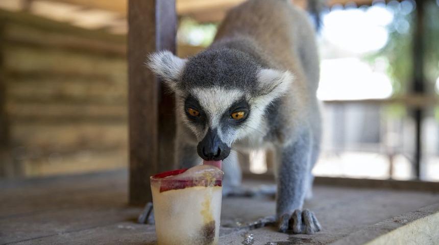 Tarsus Doğa Parkı sakinleri buzlu kokteyl ve yağmurlama sistemiyle serinliyor