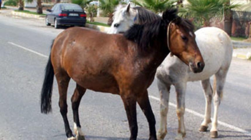 Alanya'da trajik kaza