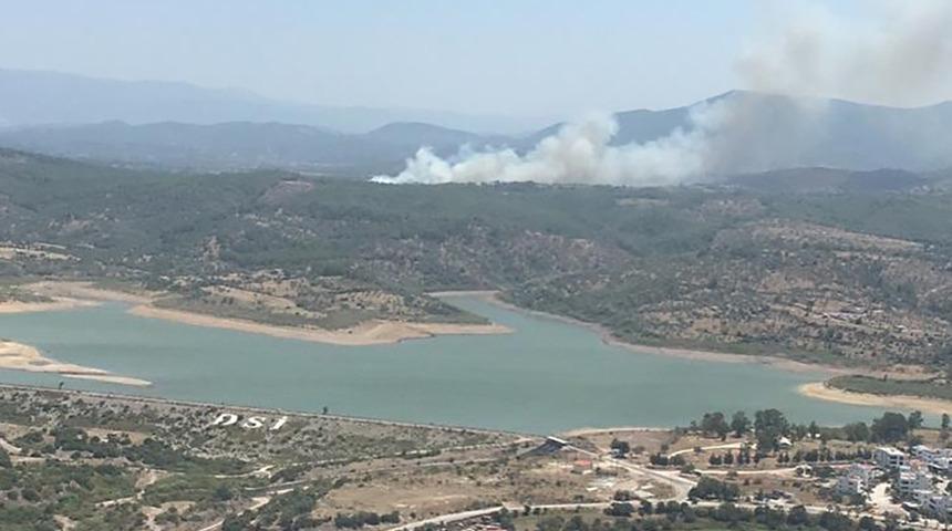 Alevlerin yükseldiğini görenler ihbar etti! Muğla'nın Milas ilçesinde orman yangını: 2 saat sonra kontrol altına alındı, soruşturma başlatıldı