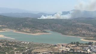 Alevlerin yükseldiğini görenler ihbar etti! Muğla'nın Milas ilçesinde orman yangını: 2 saat sonra kontrol altına alındı, soruşturma başlatıldı