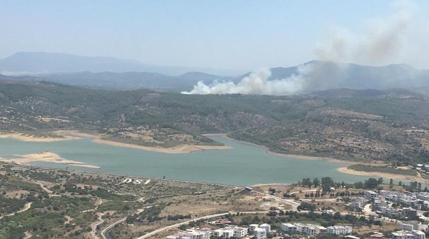 Muğla'nın Milas ilçesinde orman yangını çıktı