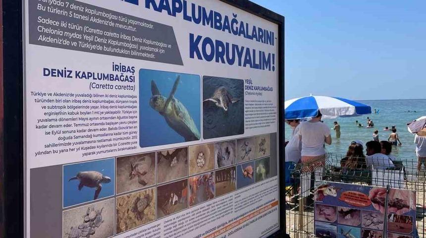 Kuşadası Belediyesi’nden Caretta Caretta yuvaları için bir önlem daha