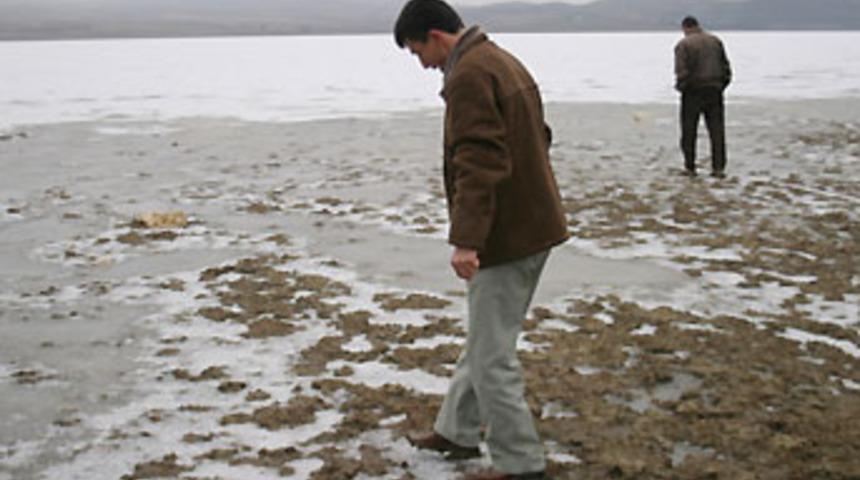 Konya'da kuş gribi ş&uuml;phesi