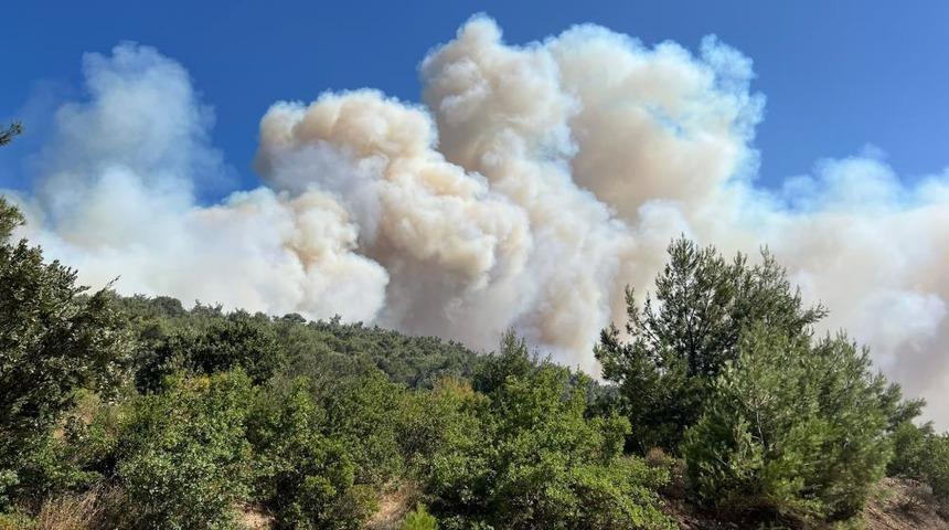 SON DAKİKA | Manisa’da orman yangını! Birçok ev yandı, vatandaşlar tahliye ediliyor