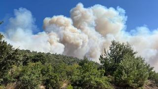 SON DAKİKA | Manisa’da orman yangını! Birçok ev yandı, vatandaşlar tahliye ediliyor