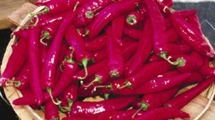 İngilizler de doğruladı:  Kanserin ilacı kırmızı biber