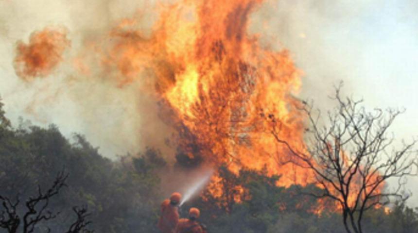 Alanya'da yine yangın