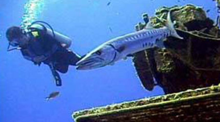 Balık adam Amazon'u boydan boya y&uuml;zd&uuml;