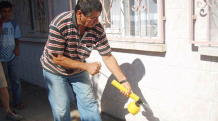 İzmir'de kene paniği