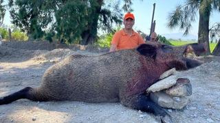 250 kiloluk dev domuz, avcılar tarafından vuruldu