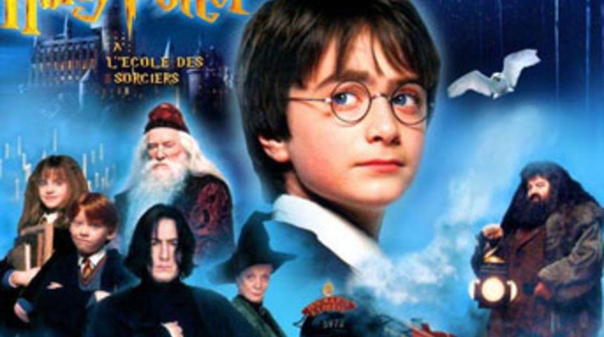 Fransa'da Harry Potter pulları