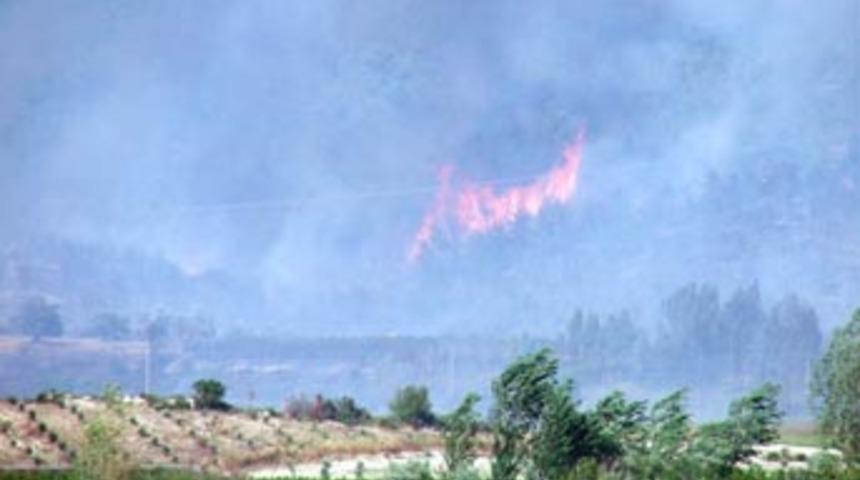 Orman yangını yayla boşalttırdı