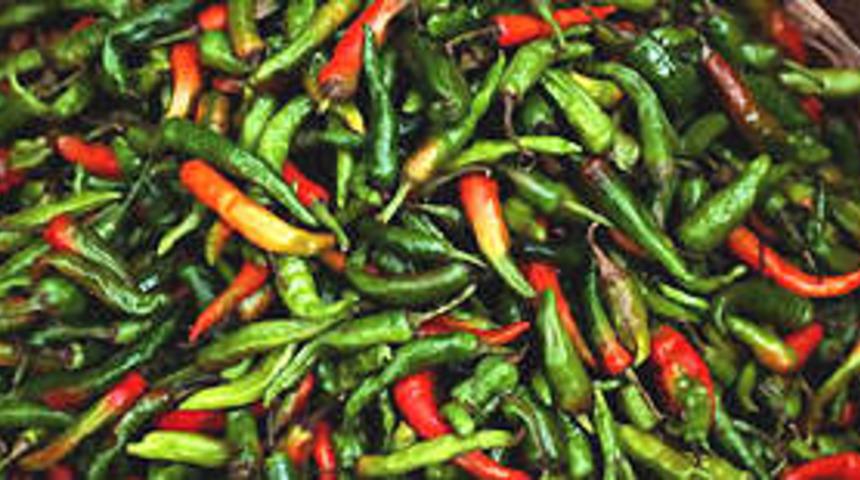 Bahar yorgunluğuna biber ve turun&ccedil;gil