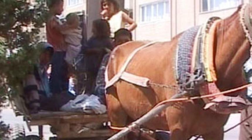 At arabasında 14 kişi yaşıyor