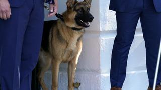 ABD Başkanı Biden'ın köpeği Gizli Servis personelini ısırdı!
